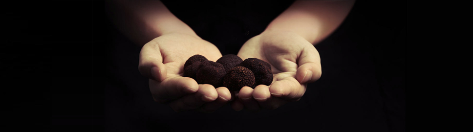 1464342913192811.jpg 1406614127d.jpg