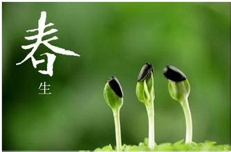 如何結(jié)合御髮膳養(yǎng)生更佳？